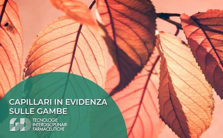 Capillari in evidenza sulle gambe. Cause e rimedi